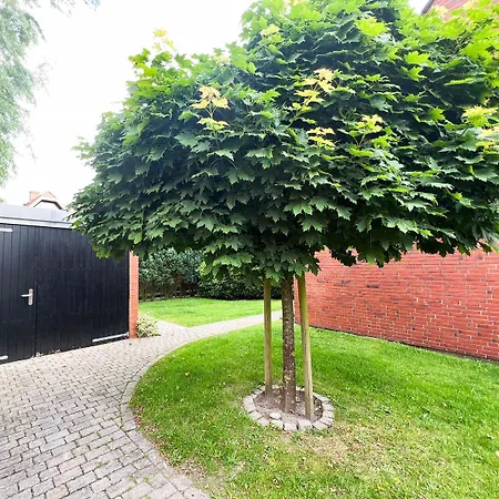 Herzmuschel Tinnum * Sylt