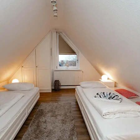 Herzmuschel Tinnum Sylt