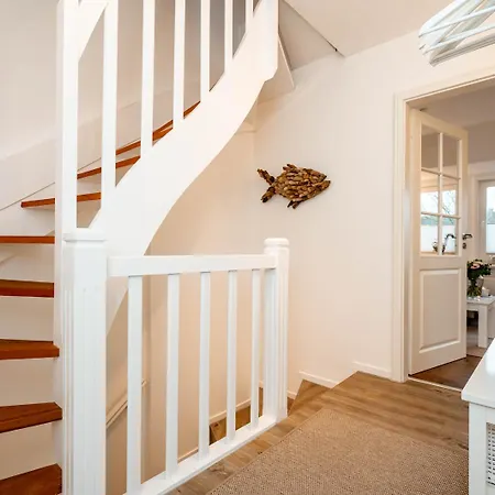 Herzmuschel Tinnum *