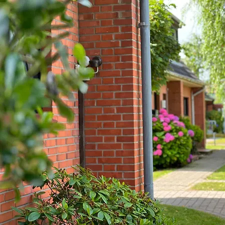 Herzmuschel Tinnum Sylt