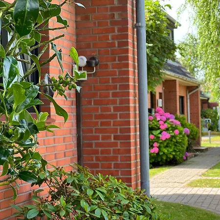 Herzmuschel Tinnum * Sylt