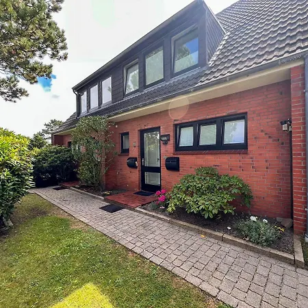 Herzmuschel Tinnum Sylt